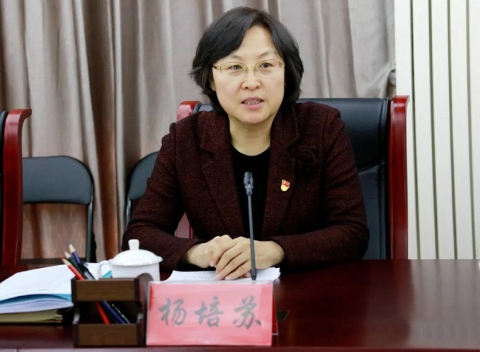 承德市委常委,组织部长杨培苏到宽城满族自治县指导"不忘初心,牢记